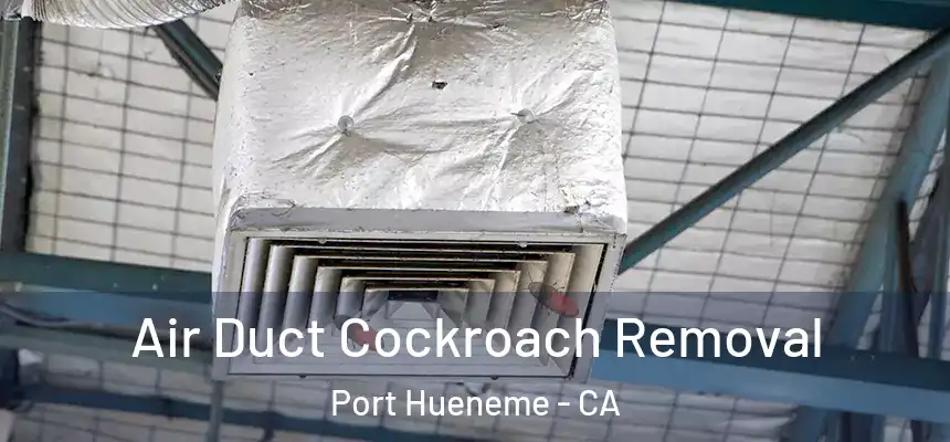 Air Duct Cockroach Removal Port Hueneme - CA
