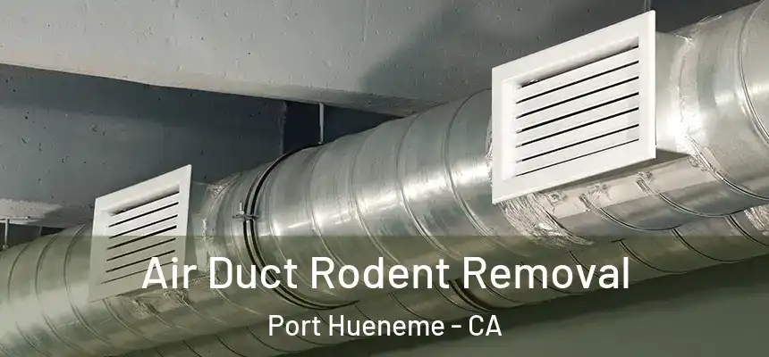  Air Duct Rodent Removal Port Hueneme - CA