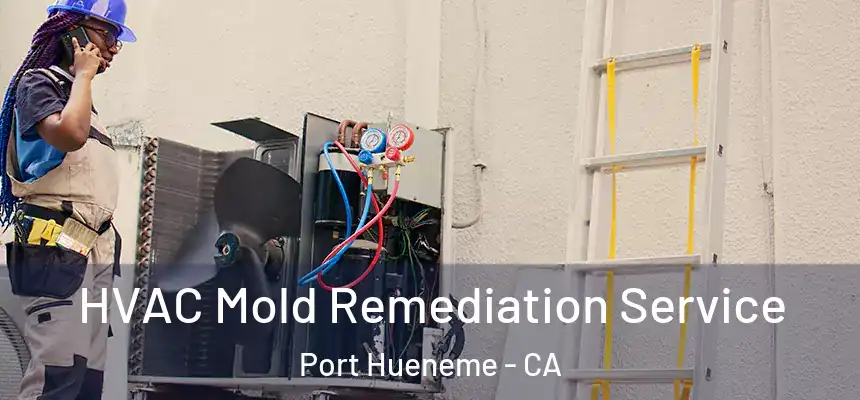  HVAC Mold Remediation Service Port Hueneme - CA