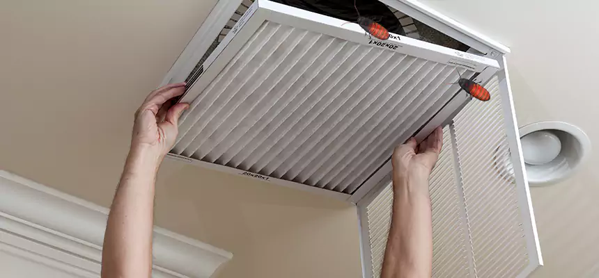 Preventive Cockroach-Proofing for Ducts in Port Hueneme