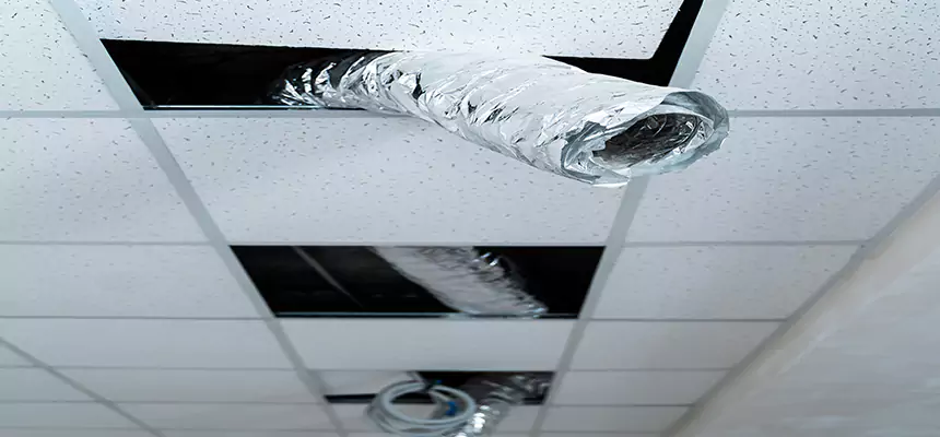 Affordable HVAC Sanitizing After Pest Removal in Port Hueneme