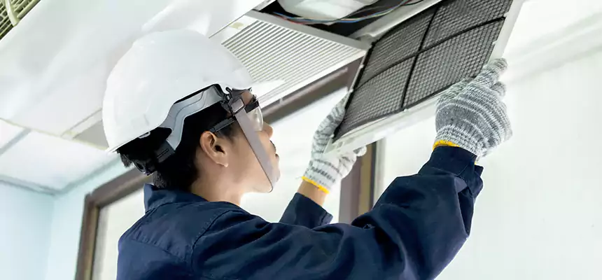 Our Mold & Mildew Removal from Air Ducts Services in Port Hueneme, CA