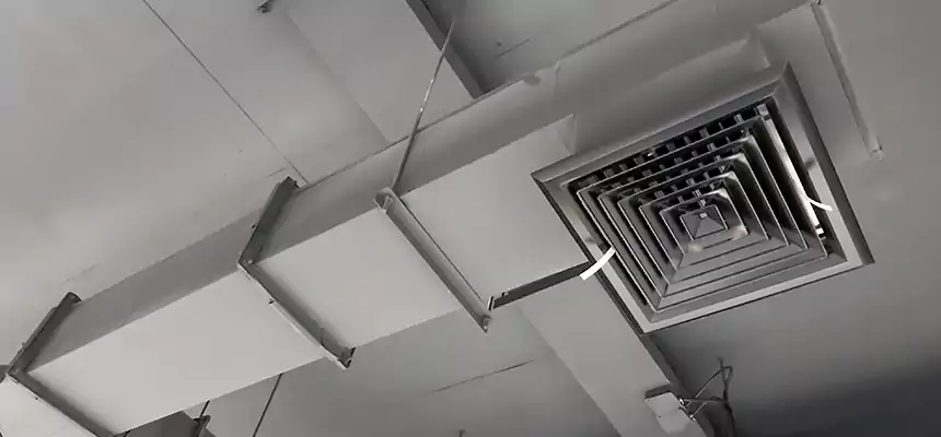 Our Rodent Droppings In Vents Services in Port Hueneme, CA