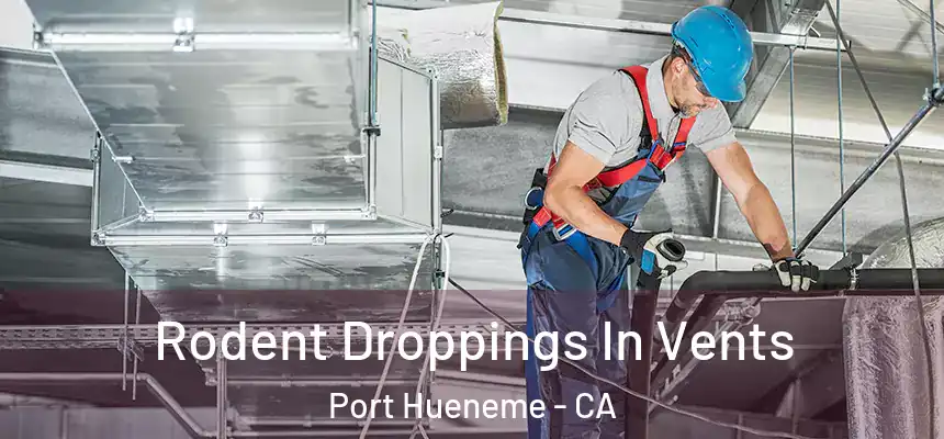  Rodent Droppings In Vents Port Hueneme - CA