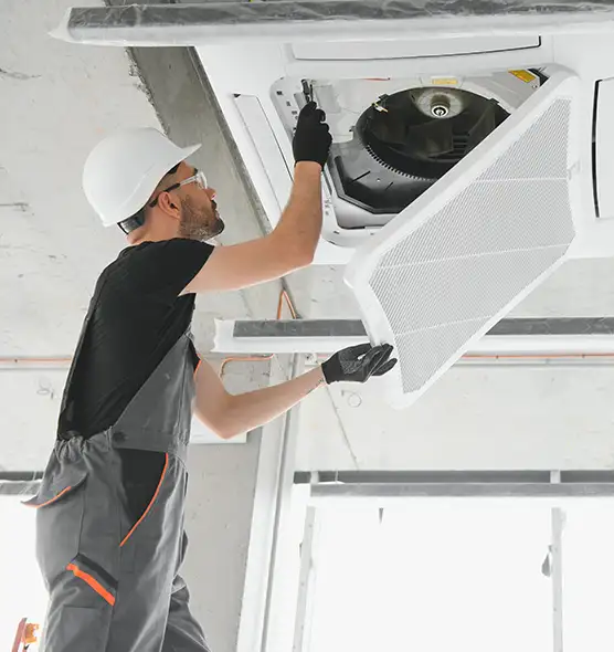 About Air Duct Rodent Removal in Port Hueneme, CA