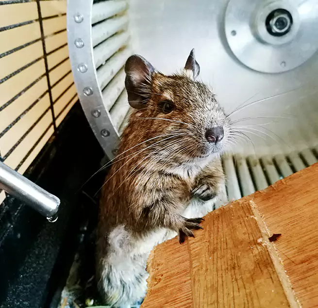 Why Homeowners & Businesses Trust Us Port Hueneme, CA