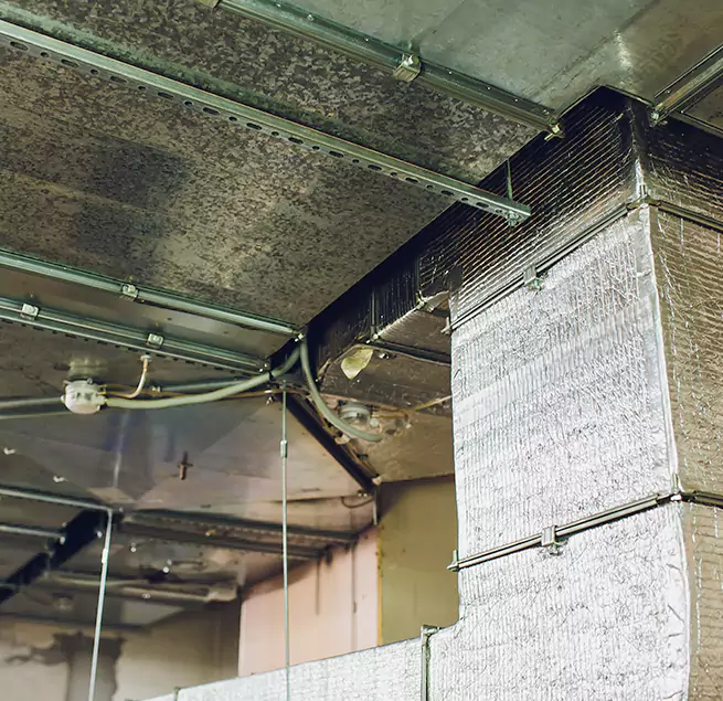 Why Homeowners & Businesses Trust Us in Port Hueneme, CA?